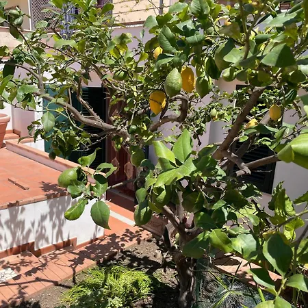 Casa Dorotea *